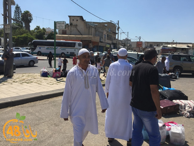 lud mo3tmreajn (10).jpg